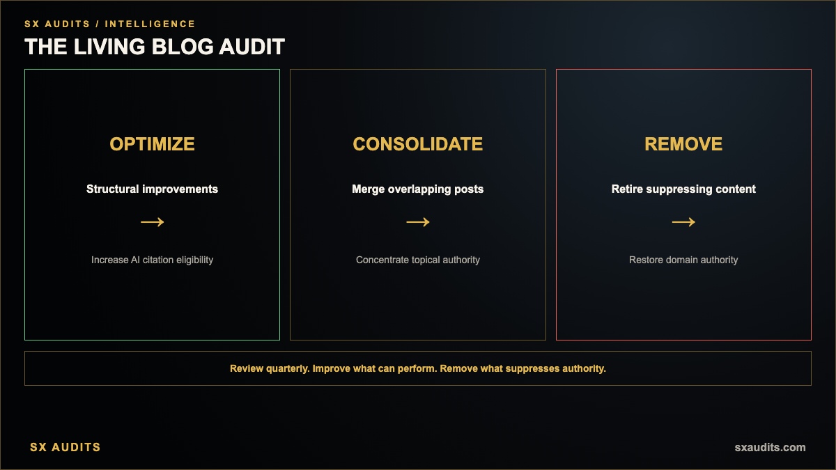 What Is a Living Blog Audit Infographic